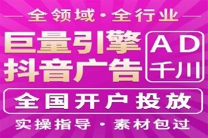 某某SEM团队成功案例：广告投放策略揭秘